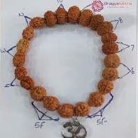 Sarvsiddhi Rudrakash Bracelet